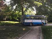 Vereinsmeile Rolandsfest 2018 (Foto: IFA-Museum)