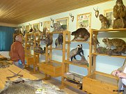 Freunde auf der Feuerkuppe  (Foto: w.geiger)