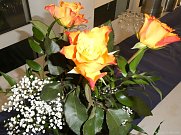 Frauentag 2024 (Foto: W. Geiger)