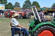 Schleppertreffen Axien 2016 (Foto: hgf)