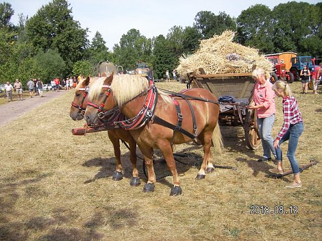 so war das früher (Foto: Elsmann)