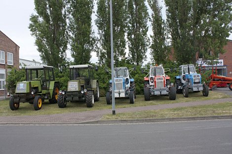 Sie stehen Spalier (Foto: Geiger) Sie stehen Spalier (Foto: Geiger)